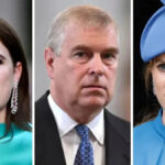 Yahoo lifestyle home