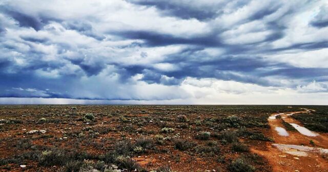 Aposta de um milhão de dólares no outback: o NT é a nova planície de Nullarbor?
