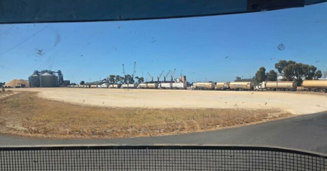 Apresse-se e espere: atrasos e volumes de grãos causam atrasos no porto de Bunbury
