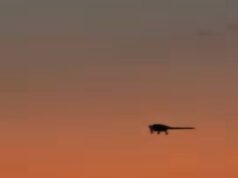 Arma ultrassecreta dos EUA conhecida como ‘Wraith’ usada na captura de Maduro vista em fotos raras O RQ-170 Sentinel foi visto pousando em Porto Rico em 3 de janeiro, após a operação para prender o ditador venezuelano Nicolás Maduro.