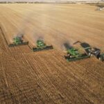 As colheitas em pousios produziram rendimento e qualidade superiores para os Ashworths