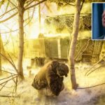 As negociações de paz na Ucrânia se resumem a uma questão, diz o enviado dos EUA Witkoff