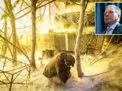 As negociações de paz na Ucrânia se resumem a uma questão, diz o enviado dos EUA Witkoff As negociações de paz na Ucrânia se resumem a uma questão, diz o enviado dos EUA Witkoff