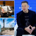 As piadas de Elon Musk sobre a Groenlândia fracassam em Davos em um momento estranho - enquanto ele revela plano para vender robôs