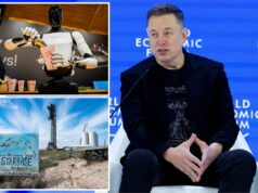 As piadas de Elon Musk sobre a Groenlândia fracassam em Davos em um momento estranho – enquanto ele revela plano para vender robôs As piadas de Elon Musk sobre a Groenlândia fracassam em Davos em um momento estranho - enquanto ele revela plano para vender robôs