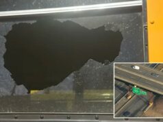 Atirador de pedras em série, 40 anos, supostamente atira pedra no ônibus da escola judaica, fraturando o crânio da menina Atirador de pedras em série, 40 anos, supostamente atira pedra no ônibus da escola judaica, fraturando o crânio da menina