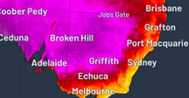 Australianos suam durante a onda de calor escaldante do Dia Australianos suam durante a onda de calor escaldante do Dia da Austrália