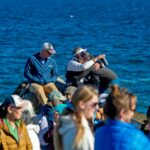 Autoridades confirmam que tubarão matou a nadadora Erica Fox em Lovers Point