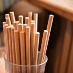 Autoridades do estado da Flórida decidem proibir canudos de papel em restaurantes, citando “riscos preocupantes à saúde”