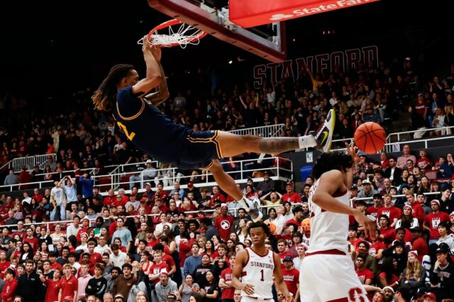 John Camden do California Golden Bears (2), TT Carr do California Golden Bears (3) e Milos Ilic do California Golden Bears (8) comemoram a vitória contra Stanford no Maples Pavilion em Stanford, Califórnia, no sábado, 24 de janeiro de 2026. (Shae Hammond/Bay Area News Group)