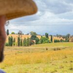 Bilhões em oferta em Canberra, mas agricultores deixando milhões na mesa