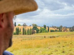 Bilhões em oferta em Canberra, mas agricultores deixando milhões na mesa Bilhões em oferta em Canberra, mas agricultores deixando milhões na mesa