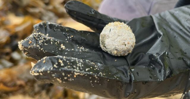 Bolas de destroços foram parar em várias praias de NSW novamente, mas as autoridades não têm certeza se estão relacionadas com aquelas que foram encontradas anteriormente ao longo de dezenas de praias de Sydney.