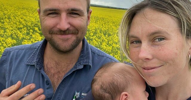 Boas épocas, boa genética e muito trabalho definem a vida na terra
