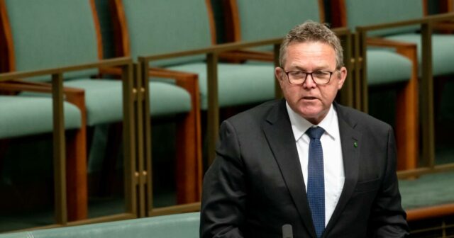 Boyce atribui o sucesso de One Nation a Littleproud à medida que o desafio de liderança se aproxima
