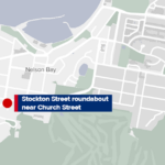 Cachorro morto e pedestre ferido ao cruzar a estrada em NSW