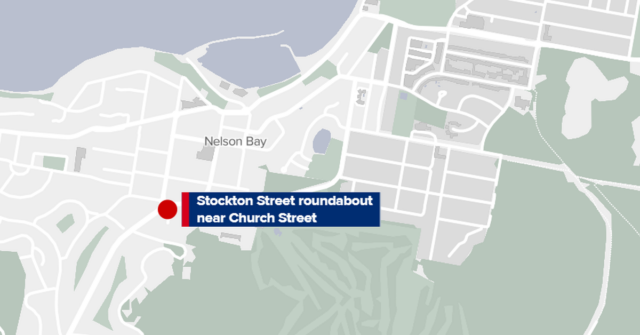 Cachorro morto e pedestre ferido ao cruzar a estrada em NSW
