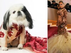 Cães de Nova York recriam looks de celebridades no tapete vermelho do Globo de Ouro na primeira vez em ‘Golden Paws’ Cães de Nova York recriam looks de celebridades no tapete vermelho do Globo de Ouro na primeira vez em 'Golden Paws'