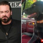 Cantora country indicada ao Grammy implora por ajuda na busca pela cadela grávida perdida da família