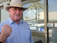 Caos da coalizão: Barnaby Joyce sugere novas deserções para One Nation Caos da coalizão: Barnaby Joyce sugere novas deserções para One Nation