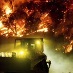 Cartas: A Lei Fix Our Forests melhoraria a resiliência ao fogo