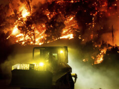Cartas: A Lei Fix Our Forests melhoraria a resiliência ao fogo Cartas: A Lei Fix Our Forests melhoraria a resiliência ao fogo