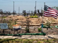 Cartas: Se os poluidores pagassem pelos danos, o déficit do estado seria menor Cartas: Se os poluidores pagassem pelos danos, o déficit do estado seria menor