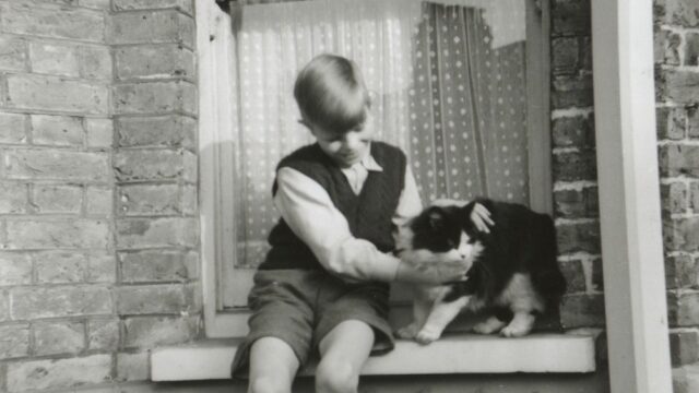 Casa de infância de David Bowie será restaurada e aberta Casa de infância de David Bowie será restaurada e aberta ao público