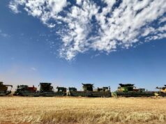 Cidade do Centro-Oeste se prepara para se refrescar após colheita comunitária recorde Cidade do Centro-Oeste se prepara para se refrescar após colheita comunitária recorde