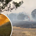 Fotos enviadas para o Facebook na página CFA do Corpo de Bombeiros de Sassafras-Ferny Creek. Esta foi a legenda que colocaram nas imagens: Um veículo e tripulação de Sassafras-Ferny Creek foram enviados ontem à noite para ajudar com os incêndios na área de Longwood. Desejamos a eles uma implantação segura e bem-sucedida. Tenha certeza de que temos muita reserva para lidar com quaisquer incidentes locais!