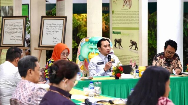 Comemorando o Dia do Primata de 2026, Ibas convida a manter os ecossistemas e o equilíbrio natural
