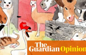 Como a direita conquistou a internet | Robert Topinka Como a direita conquistou a internet | Robert Topinka