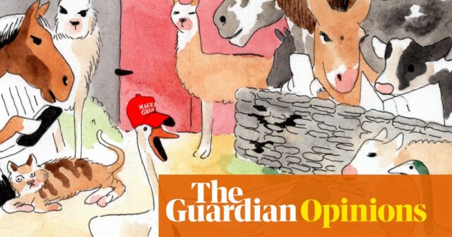 Como a direita conquistou a internet | Robert Topinka
