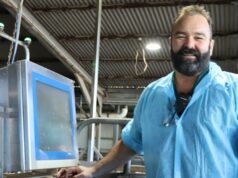 Como a inteligência artificial está transformando um dos problemas mais antigos da agricultura Como a inteligência artificial está transformando um dos problemas mais antigos da agricultura