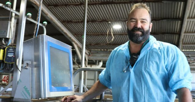 Como a inteligência artificial está transformando um dos problemas mais antigos da agricultura
