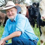 Como descobrir quais bovinos estão superfaturados e quais estão subvalorizados em 2026