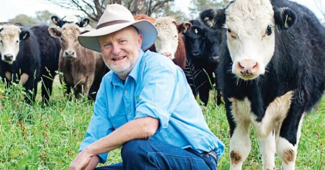 Como descobrir quais bovinos estão superfaturados e quais estão subvalorizados em 2026
