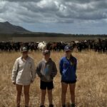 Como este agricultor usa cercas virtuais para resolver sua maior frustração com o pastoreio