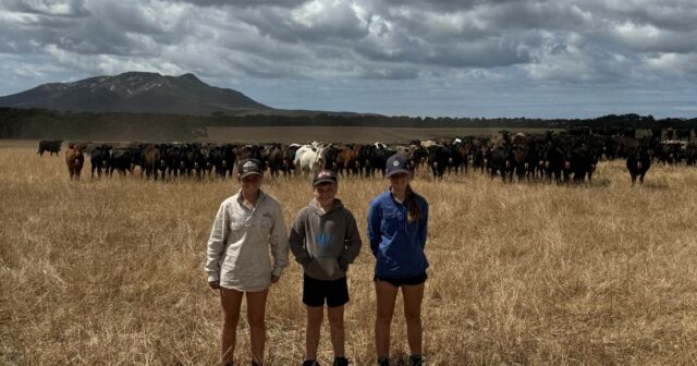 Como este agricultor usa cercas virtuais para resolver sua maior frustração com o pastoreio

