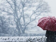 Como funcionam os alertas de saúde em clima frio? Gráfico que explica os diferentes níveis de alerta de saúde meteorológicos adversos, desde o nível mais baixo, verde - onde há um risco mínimo para a saúde - até ao nível mais alto, vermelho - que representa um risco significativo para a vida e uma ameaça para infra-estruturas críticas.