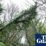 'Cornwall não é resiliente o suficiente': cidades lutam com interrupção da banda larga após tempestade Goretti