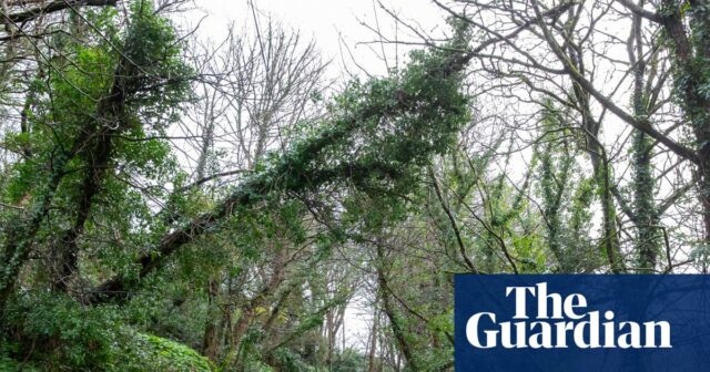 'Cornwall não é resiliente o suficiente': cidades lutam com interrupção da banda larga após tempestade Goretti
