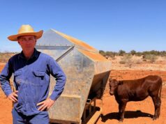 ‘Crook como sempre’: Gascoyne atingido pela terceira estação seca consecutiva 'Crook como sempre': Gascoyne atingido pela terceira estação seca consecutiva