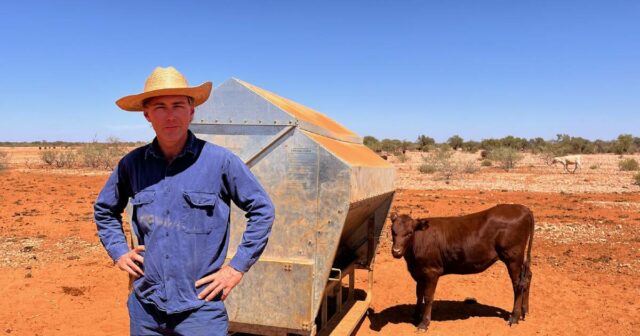 'Crook como sempre': Gascoyne atingido pela terceira estação seca consecutiva
