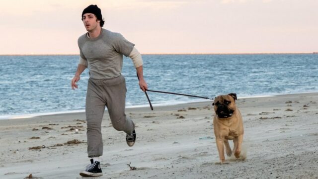 Data de lançamento do Dia de Ação de Graças de Data de lançamento do Dia de Ação de Graças de 'I Play Rocky' Lands, programada para o 50º aniversário de 'Rocky'