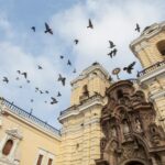 De Machu Picchu ao desconhecido: filmes dos tribunais do Peru são filmados além de seus locais icônicos