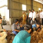 Desempenho da Indústria de Processamento Indicado para Aumento no Trimestre IV-2025, BI: Impulsionado pela Expansão da Maioria dos Componentes