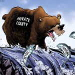 Desenho animado: capital privado