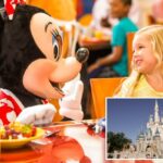 Disney silenciosamente muda de rumo sobre polêmicas mudanças no plano de refeições