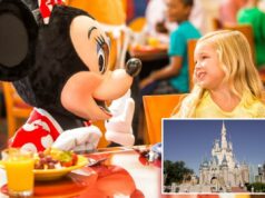 Disney silenciosamente muda de rumo sobre polêmicas mudanças no plano de refeições Disney silenciosamente muda de rumo sobre polêmicas mudanças no plano de refeições